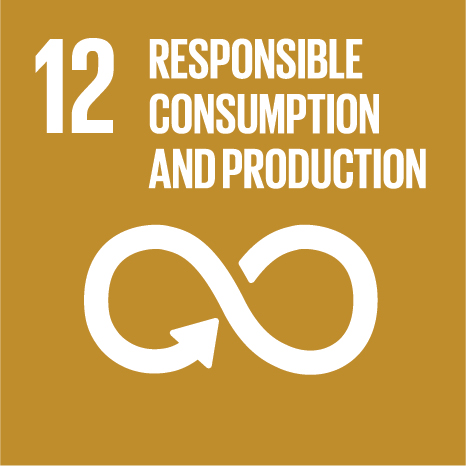 UN SDG 12 — Responsible Consumption and Production